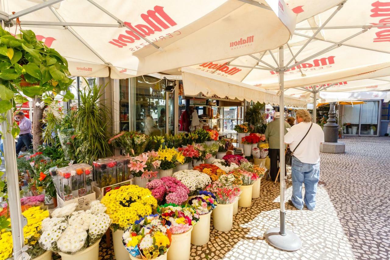 Appartamento Casa Patio Del Mentidero Cadice Esterno foto